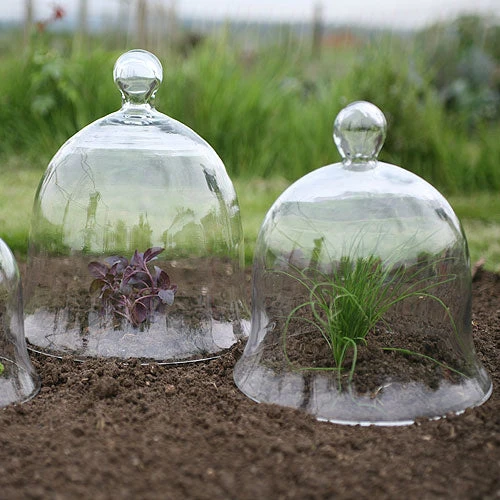 Access Glass Bells Set Of Three 2 Access Glass Bells Set Of Three - Image 2