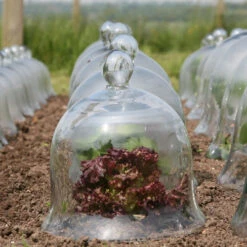 Access Glass Bells 19 Access Glass Bells -Verdura Garden Store ACCBELL10