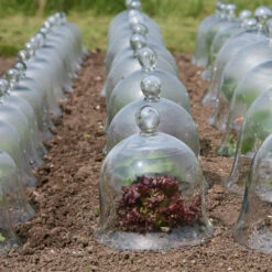 Access Glass Bells 12 Access Glass Bells -Verdura Garden Store ACCBELL3