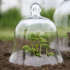 Access Glass Bells 16 Access Glass Bells -Verdura Garden Store ACCBELL7