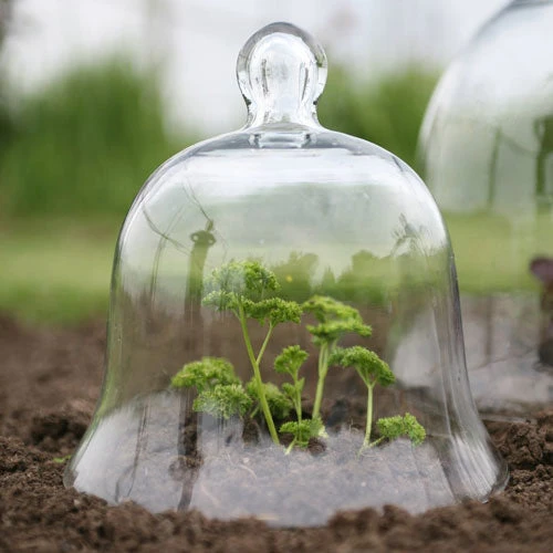 Access Glass Bells Set Of Three 8 Access Glass Bells Set Of Three - Image 8