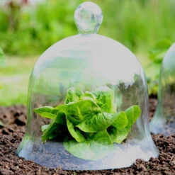 Access Glass Bells 17 Access Glass Bells -Verdura Garden Store ACCBELL8