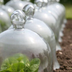 Access Glass Bells 18 Access Glass Bells -Verdura Garden Store ACCBELL9