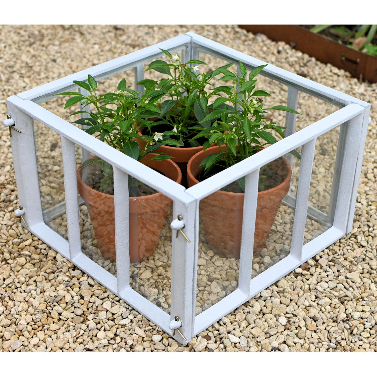 Cast Iron Garden Cloche 8 Cast Iron Garden Cloche - Image 8