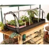 Bio Green Jumbo Propagator 8 Bio Green Jumbo Propagator -Verdura Garden Store BGJP1