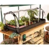 Jumbo Propagator Set -Verdura Garden Store BGJPSET1