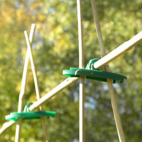 Cane Supports 2 Cane Supports - Image 2