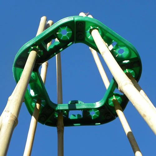 Cane Supports 6 Cane Supports - Image 6