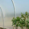 Clear Tunnel Greenhouse Polythene -Verdura Garden Store CTGP3