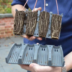 28 Cell Deep Root Plant Cells 15 28 Cell Deep Root Plant Cells -Verdura Garden Store DRPC288