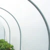 Diffused Tunnel Greenhouse Polythene 22 Diffused Tunnel Greenhouse Polythene -Verdura Garden Store DTGP1