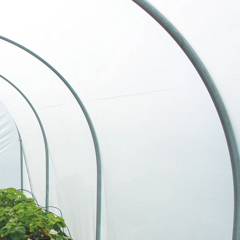 Diffused Tunnel Greenhouse Polythene 1 Diffused Tunnel Greenhouse Polythene