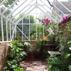 Elite Thyme 6'3" Wide Greenhouse For Dwarf Wall 7 Elite Thyme 6'3" Wide Greenhouse For Dwarf Wall -Verdura Garden Store ETM6DW3