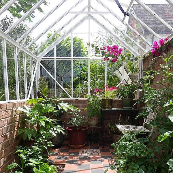 Elite Thyme 6'3" Wide Greenhouse For Dwarf Wall 3 Elite Thyme 6'3" Wide Greenhouse For Dwarf Wall - Image 3