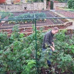 Deluxe 6' High Fruit Cage -Verdura Garden Store FCD62