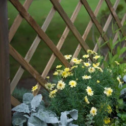 Venice Wooden Planter -Verdura Garden Store FGFPV4