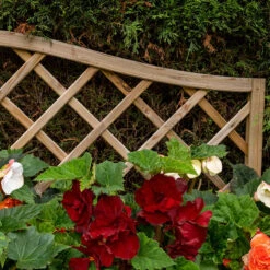 Venice Wooden Planter -Verdura Garden Store FGFPV5