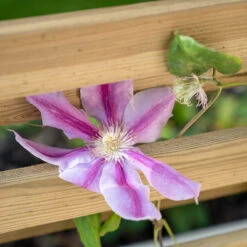 Forest Garden Living Screen Planter 8 Forest Garden Living Screen Planter -Verdura Garden Store FGLIVSCRPLANTHD4