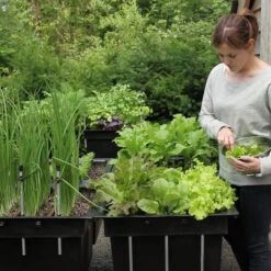 Ergrownomics - Four Square Planter Set -Verdura Garden Store FSPM3