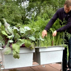 Ergrownomics - Four Square Planter Set -Verdura Garden Store FSPM4