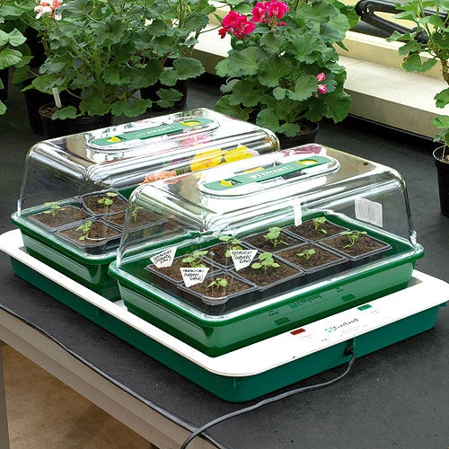 Fixed Temperature Propagator 2 Fixed Temperature Propagator - Image 2