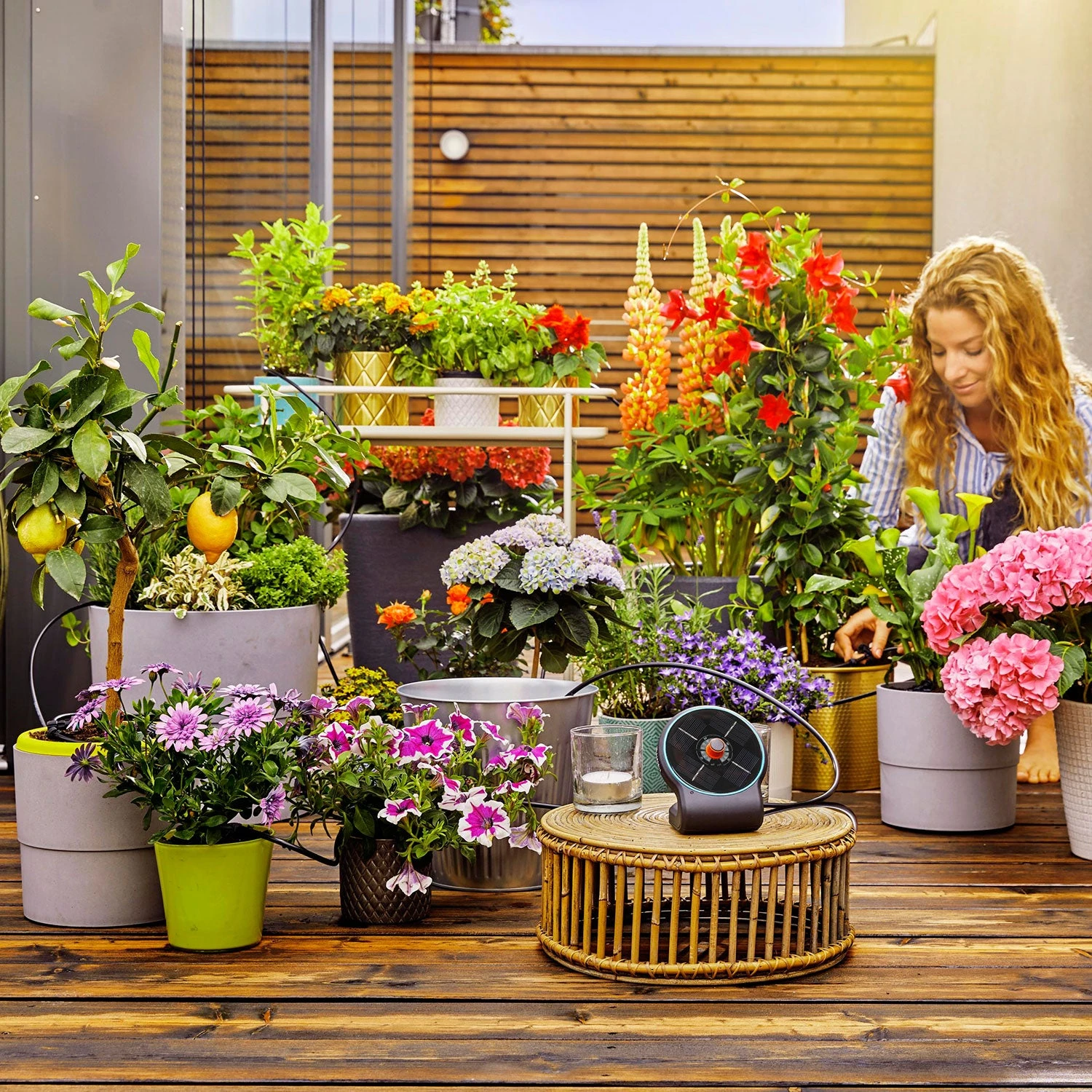 Gardena AquaBloom Solar Powered Watering System 2 Gardena AquaBloom Solar Powered Watering System - Image 2