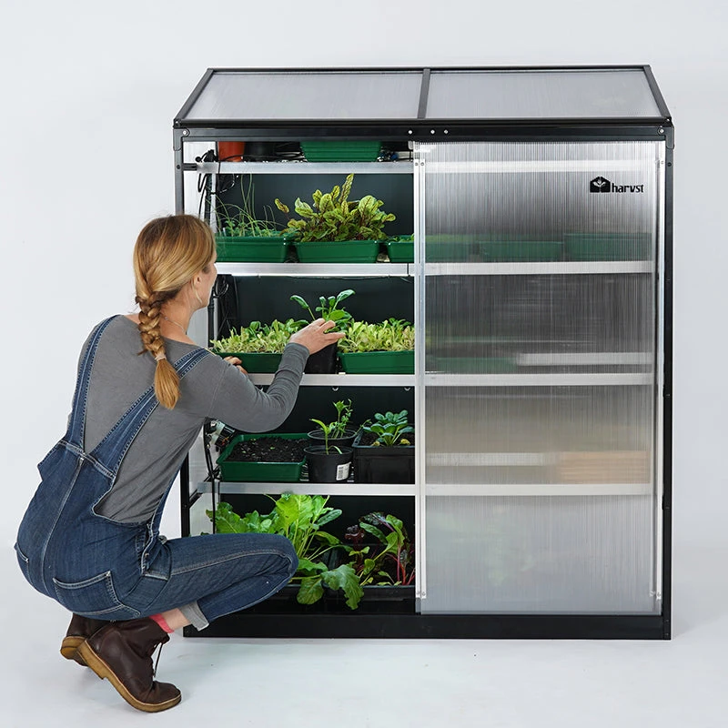 Sprout S24 Smart Mini Greenhouse 2 Sprout S24 Smart Mini Greenhouse - Image 2