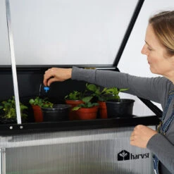 Sprout S24 Smart Mini Greenhouse 28 Sprout S24 Smart Mini Greenhouse -Verdura Garden Store HASP244