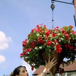 Hilo 6 Hilo -Verdura Garden Store HILO5