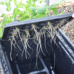Hydropod Propagator -Verdura Garden Store HYCP14