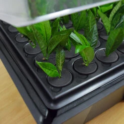 Hydropod Propagator -Verdura Garden Store HYCP16