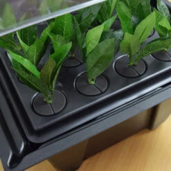 Hydropod Propagator -Verdura Garden Store HYCP17
