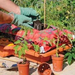 Hozelock Growbag Waterer -Verdura Garden Store HZGBW7