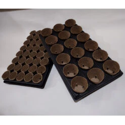 Shuttle Trays With Jiffy Pots 20 Shuttle Trays With Jiffy Pots -Verdura Garden Store JPST1
