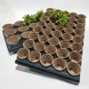Shuttle Trays With Jiffy Pots