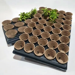 Shuttle Trays With Jiffy Pots