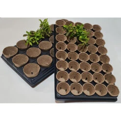 Shuttle Trays With Jiffy Pots 16 Shuttle Trays With Jiffy Pots -Verdura Garden Store JPST5