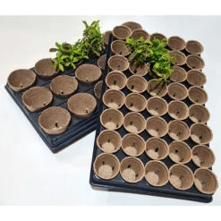 Shuttle Trays With Jiffy Pots 15 Shuttle Trays With Jiffy Pots -Verdura Garden Store JPST6