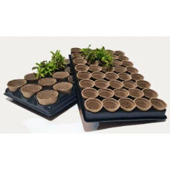 Shuttle Trays With Jiffy Pots 14 Shuttle Trays With Jiffy Pots -Verdura Garden Store JPST7