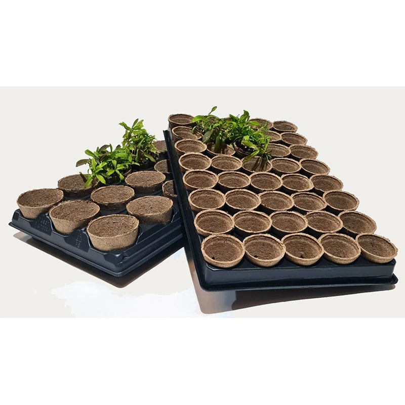 Shuttle Trays With Jiffy Pots 4 Shuttle Trays With Jiffy Pots - Image 4