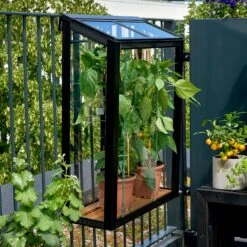 Juliana Balcony Greenhouse -Verdura Garden Store JUBALCONY6