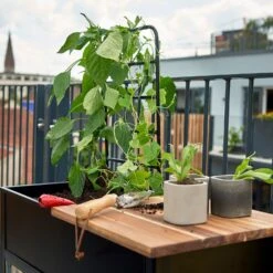 Juliana Vertical Greenhouse -Verdura Garden Store JUVERTICAL2