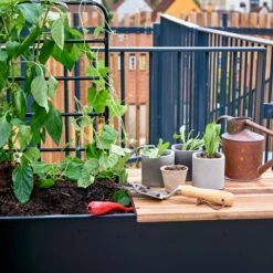 Juliana Vertical Greenhouse -Verdura Garden Store JUVERTICAL5