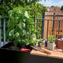 Juliana Vertical Greenhouse -Verdura Garden Store JUVERTICAL8