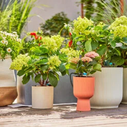 Gardena Micro Drip Irrigation Drip Starter Set 14 Gardena Micro Drip Irrigation Drip Starter Set -Verdura Garden Store LDMDISK12