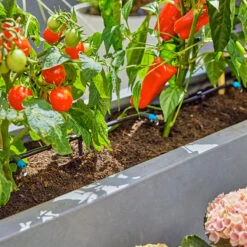 Gardena Micro Drip Irrigation Drip Starter Set 21 Gardena Micro Drip Irrigation Drip Starter Set -Verdura Garden Store LDMDISK4