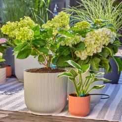 Gardena Micro Drip Irrigation Drip Starter Set 15 Gardena Micro Drip Irrigation Drip Starter Set -Verdura Garden Store LDMDISK8