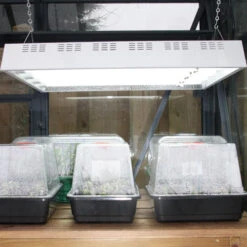 Maxibright Propagation Lights -Verdura Garden Store MPL4