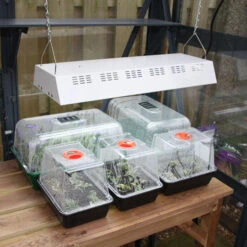 Maxibright Propagation Lights -Verdura Garden Store MPL5