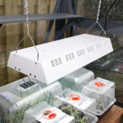 Maxibright Propagation Lights -Verdura Garden Store MPL6